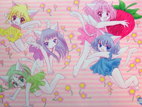 Mew Mew Power