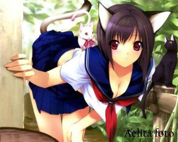 Neko~ :3