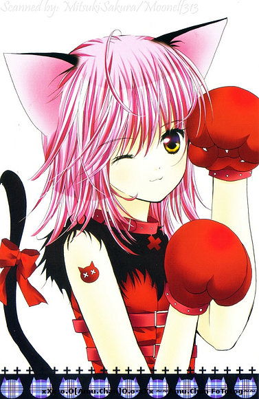 Neko Neko Neko Nyaa~~