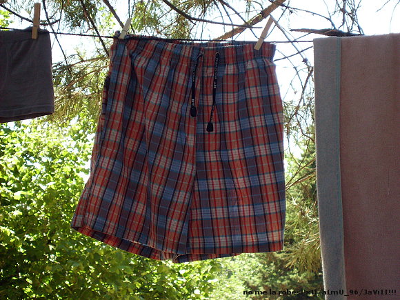 Campa 2008