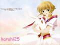 sakura de tsubasa