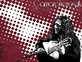 Wallpaper Camaroneros.Tk (10)