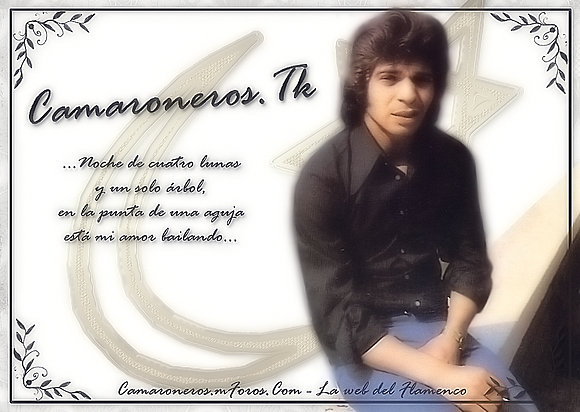 Wallpaper Camaroneros.Tk (12)