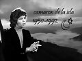 Wallpaper Camaroneros.Tk (4)