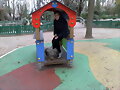 En la zona de juegos para infantes