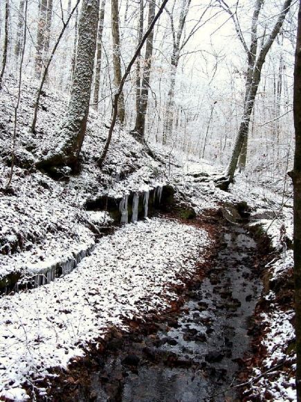 Nieve