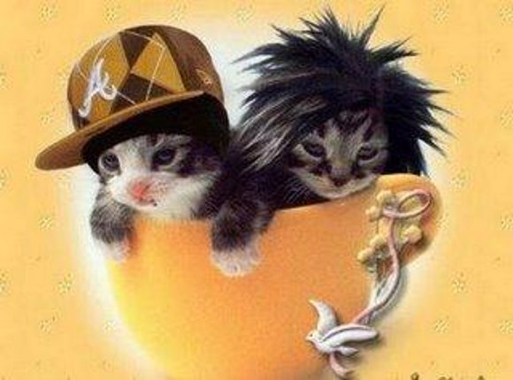 los gatitos de tokio hotel