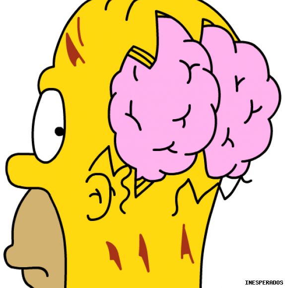 EL CEREBRO DE HOMERO