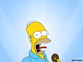 HOMERO SIMPSON