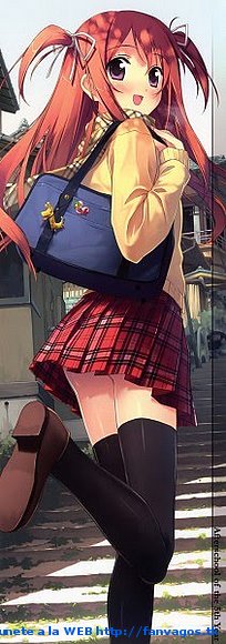 Al Colegio