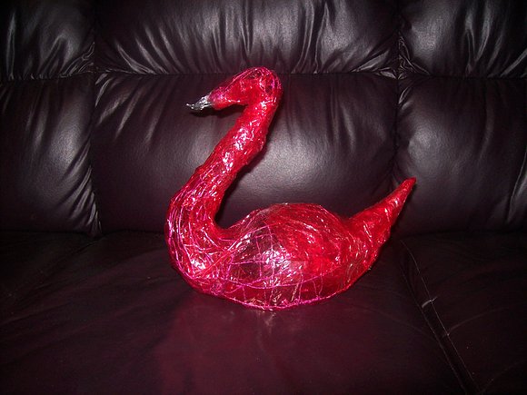 CISNE ROJO.