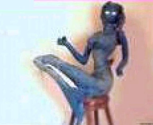 Es Mayo en Millarai Machè: Sirena azul, imagen no
