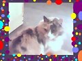 Kenita Maull&iacute;n alias la gata Kenna.