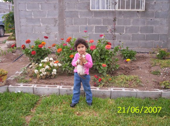 MICHI 2