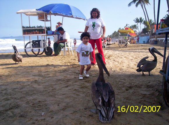 Convive con la naturaleza