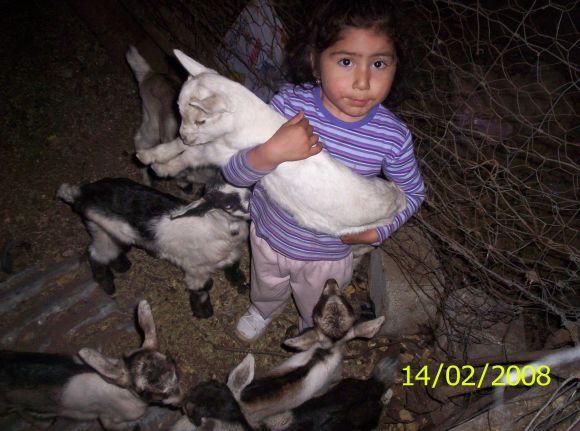 Me lo llevo a la casa????