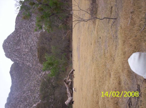 Cañon de Fernandez