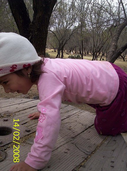 Aprendiendo a subir a los arboles