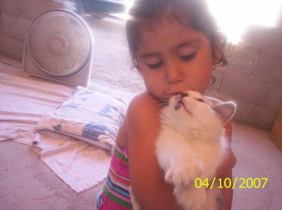 LO QUIERO MUCHO