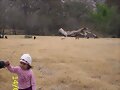 La Posta en Lerdo pastizal
