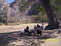 Una buena tarde
