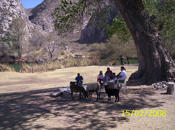 Una buena tarde