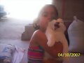 MI  GATO TITO