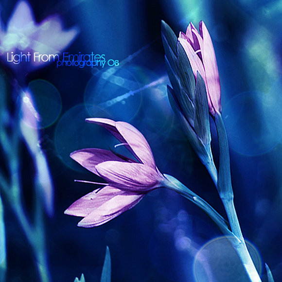 harmony
