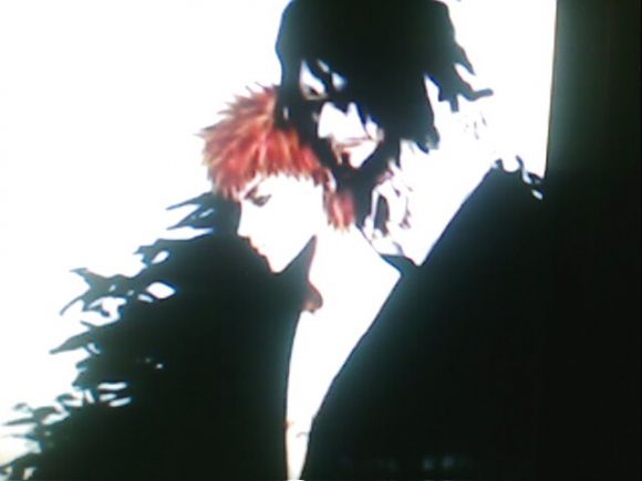 ~Ichi Zangetsu~