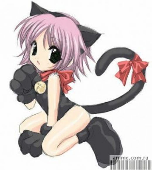 ~Soy una gatita ^n.n^~
