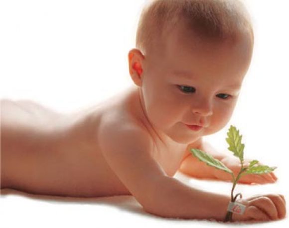 ~Un Lindo Bebe~