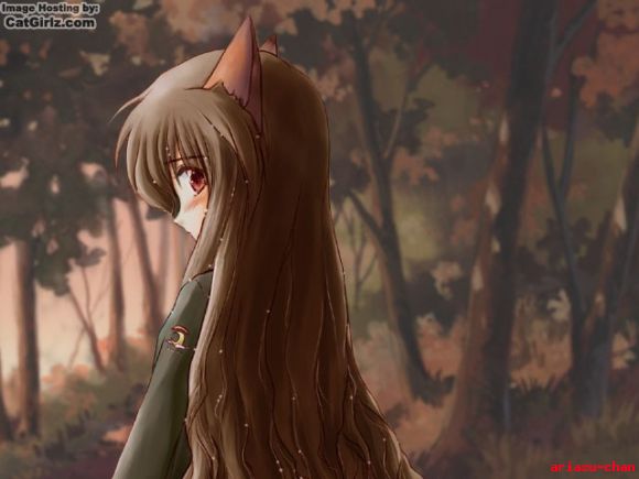 ~...~