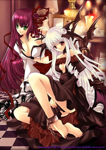 neko and kitta