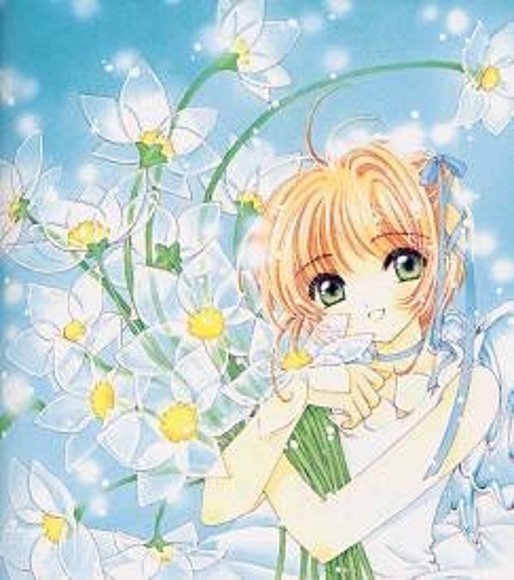 Feliz primavera!