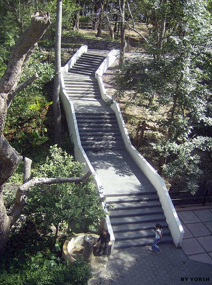 parque de los colomos