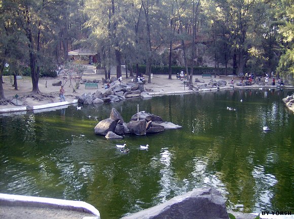 BOSQUE COLOMOS