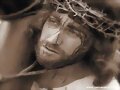 PASION VIVIENTE BALMASEDA 2009