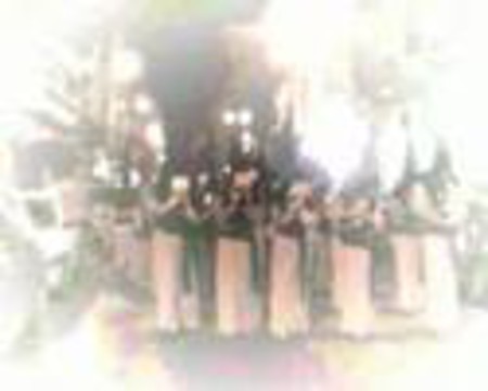BANDA DE LA COFRADIA APOSTOL SANTIAGO