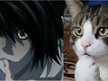 Parecidos razonables