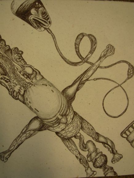 cordon umbilical