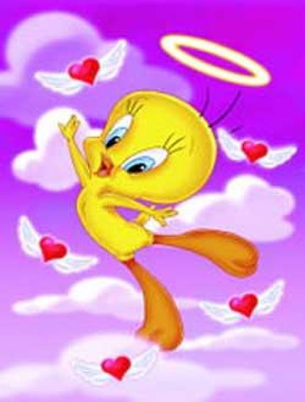 q decir amor!!