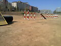 PARQUE DE PERROS