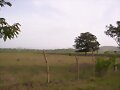 Vista de N.S