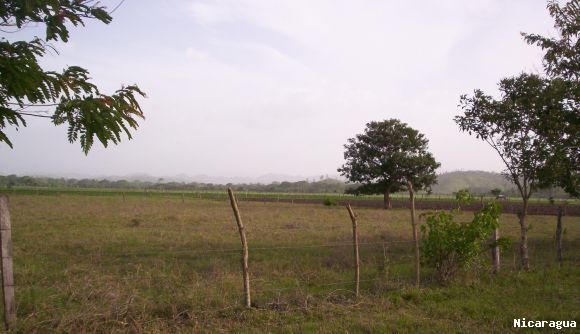 Vista de N.S