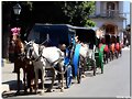 Granada coches