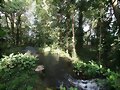 Rural