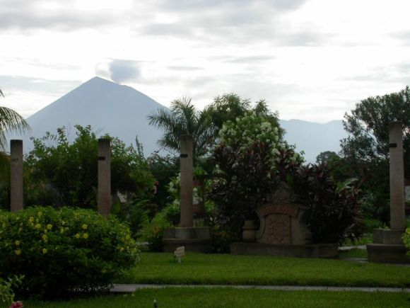 Bello verdor