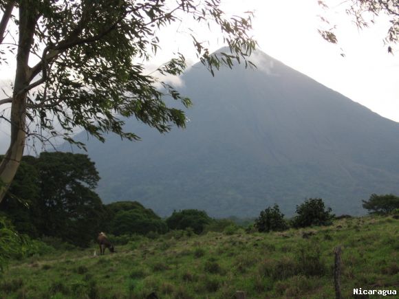 maderas ometepe