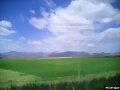 Plantacion de arroz