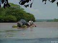 Rio_Coco